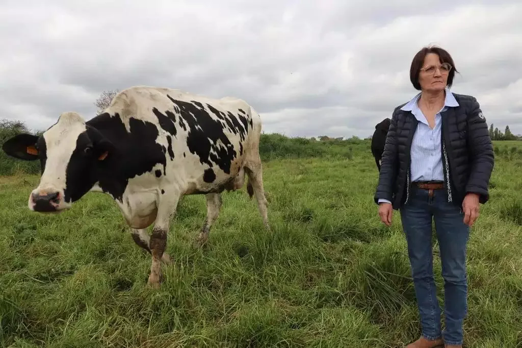 Pascale Durand - Éleveuse de vaches laitières à Crevin